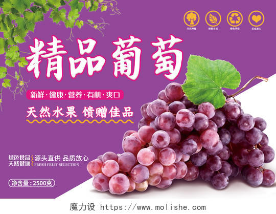 紫色简约实景精品葡萄葡萄包装手提盒横版